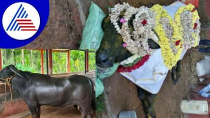 ತೆಳ್ಳಾರು ಮೋಡೆ ಸಾವು; ಅಂತ್ಯಕ್ರಿಯೆಗೆ ಹರಿದುಬಂತು ಜನಸಾಗರ!