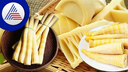 వెదురు బరువును తగ్గించడమే కాదు.. ఈ సమస్యలను కూడా మాయం చేస్తుంది..