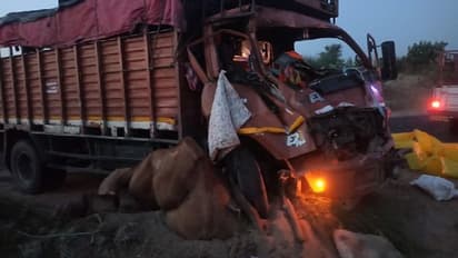 बीकानेर में दर्दनाक हादसा: ऊंटगाड़ी के ऊपर चढ़ा ट्रक, सड़क खून से हो गई लाल...दोनों ड्राइवर समेत ऊंट की भी मौत