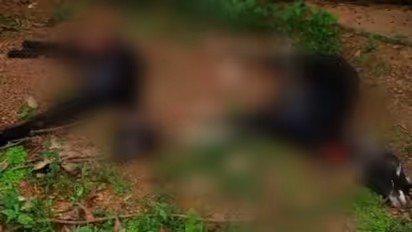 ആലപ്പുഴയിൽ തെരുവ് നായ 7 വയസുള്ള കുട്ടിയെ ആക്രമിച്ചു, അമ്മക്കും കടിയേറ്റു; ആശുപത്രിയിൽ, പ്ലാസ്റ്റിക് സർജറി വേണം