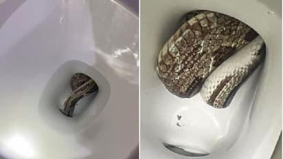 ಅಯ್ಯೋ ಅರ್ಜೆಂಟ್ ಅಂತ ಓಡೋಗಿ ಕೂರೋ ಮುನ್ನ ಜೋಪಾನ: ಬೇಸಿನ್ ಅಲ್ಲಿ ಬುಸ್‌ ಬುಸ್‌ 