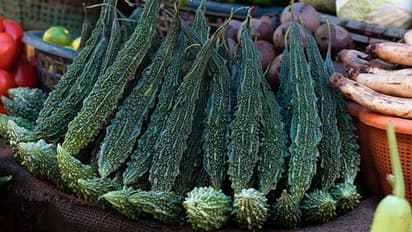 தயிருடன் பாகற்காயை சேர்த்து சாப்பிடக்கூடாது..!! ஏன்னு தெரிஞ்சுக்கோங்க..!!