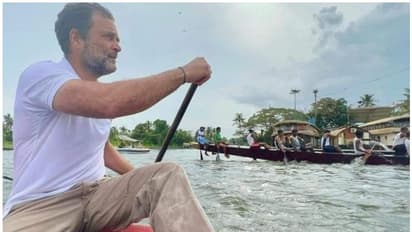 ചുണ്ടൻ വള്ളത്തിൽ തുഴഞ്ഞ് രാഹുൽ ഗാന്ധി; ഭാരത് ജോഡോ യാത്ര ആലപ്പുഴയിൽ പര്യടനം തുടരുന്നു