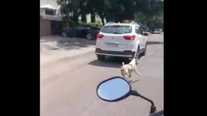 വായില്‍ തുണി തിരുകി നായയെ കാറിന് പിന്നിൽ കെട്ടിവലിച്ചിഴച്ച് സര്‍ക്കാര്‍ ഡോക്ടര്‍!