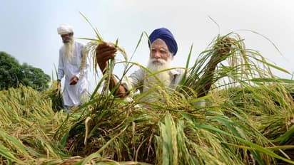 विदाई को तैयार है मानसून, भारत में 7% अधिक बारिश, लेकिन 8 राज्य अच्छे की आस में तरसे-पढ़ें पूरी डिटेल्स