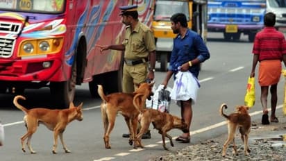 തെരുവ്നായ്ക്കളുടെ വന്ധ്യംകരണത്തിന് കണ്ടെത്തിയ സ്ഥലത്തിനെതിരെ പ്രതിഷേധം,മറ്റ് സ്ഥലങ്ങൾ കണ്ടെത്താൻ നീക്കം