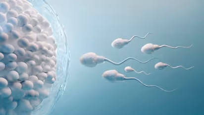 Sperm Count : പുരുഷന്മാരുടെ ബീജത്തിന്റെ എണ്ണത്തെ ബാധിക്കുന്ന അഞ്ച് ശീലങ്ങൾ