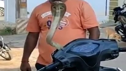 स्कूटी में छिपे कोबरे को निकालने जो ट्रिक अपनाई वो थी बेहद खतरनाक, अधिकारी ने लगा दी क्लास 