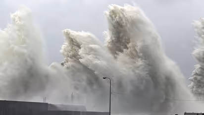 Weather forecast: IMD predicts heavy rainfall in these states for next three days; check details