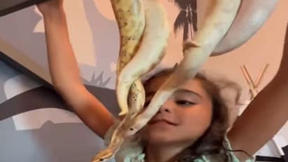 ये नागकन्या नहीं.. इंसान की बच्ची है, 10 फोटो में देखिए खतरनाक सांपों से इसकी गजब दोस्ती 