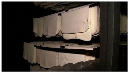 റബർ പ്രതിസന്ധിയിൽ സർക്കാർ ഇടപെടൽ, വില സ്ഥിരതാ പദ്ധതി പുനരാരംഭിച്ചു, കുടിശിക കൊടുത്തുതീര്‍ക്കും