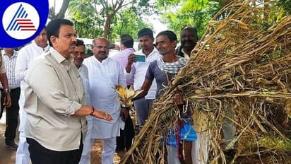 Karnataka Rains: ಬೆಳೆ, ಮನೆ ಹಾನಿ ಕುಟುಂಬಗಳಿಗೆ ಪರಿಹಾರ: ಸಚಿವ ಸಿ.ಸಿ.ಪಾಟೀಲ 