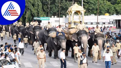 Mysore Dasara 2024: Govt bans making reels, taking photos with Jamboo savari elephants