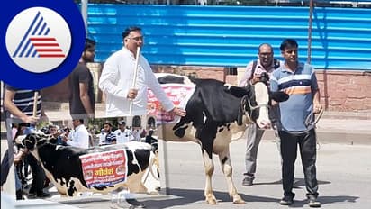 ಲಂಪಿ ರೋಗದ ಬಗ್ಗೆ ಮೌನ: ಪ್ರತಿಭಟನೆಗೆ ವಿಧಾನಸೌಧಕ್ಕೆ ಹಸುವಿನೊಂದಿಗೆ ಬಂದ ಶಾಸಕ: ಆಮೇಲೇನಾಯ್ತು ನೋಡಿ