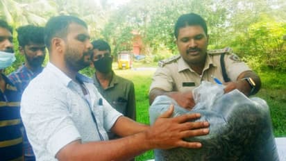 'ടിക്കറ്റെടുക്കും, ആളില്ലാ സ്റ്റേഷനിലിറങ്ങും, പൊലീസിനെ വെട്ടിക്കാന് പലവഴി'; കഞ്ചാവുമായി യുവാവ് പിടിയില്