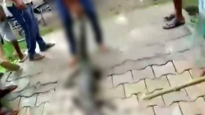 ക്ഷണിക്കപ്പെടാത്ത ഒരു അതിഥി സ്കൂളില്, പേടിച്ച് കുട്ടികള്; ഒടുവില് ക്ലാസ് റൂമില് പൂട്ടിയിട്ടു!