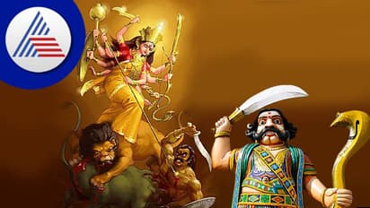 నవరాత్రి 8 వ రోజు.. మహాగౌరి గా అమ్మవారు.. ఈ కథను తెలుసుకుంటే పాపాలన్నీ తొలగిపోతాయి
