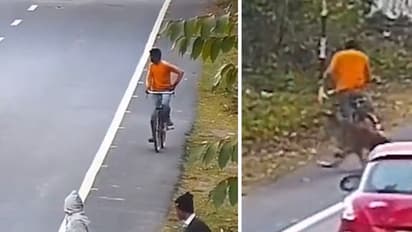 സൈക്കിളില് പോകവെ പുള്ളിപ്പുലിയുടെ ആക്രമണം; വീഡിയോ വീണ്ടും വൈറലാകുന്നു