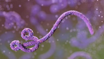 Ebola: ഉഗാണ്ടയില്‍ എബോള മരണം; അറിയാം ഈ രോഗലക്ഷണങ്ങള്‍...