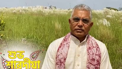 'সিলিকন ভ্যালি' থেকে রাজ্যবাসীকে শারদ শুভেচ্ছা দিলীপের, ছত্রে ছত্রে কটাক্ষ তৃণমূলকে