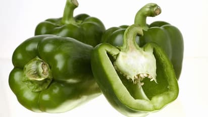 ಕ್ಯಾಪ್ಸಿಕಂ ಮಾಡೋವಾಗ ಬೀಜ ಎಸೆಯುತ್ತೀರಾ? ಈ ತಪ್ಪು ಮಾಡ್ಬೇಡಿ… 