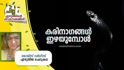 Malayalam Short Story : കരിനാഗങ്ങള് ഇഴയുമ്പോള്, ജോയ്സ് വര്ഗീസ് എഴുതിയ ചെറുകഥ