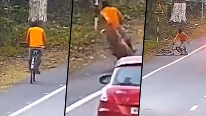 Watch: Leopard jumps on a man riding a bicycle near Kaziranga Tiger Reserve; here’s what happened next
