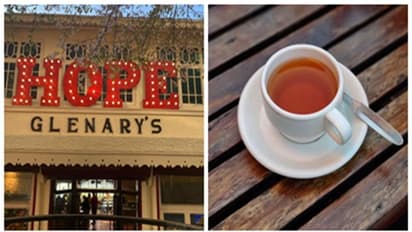 গ্লেনারিজে মিলবে না 'সিগনেচার টি'! ১১০ বছরের ইতিহাস ভেঙে দার্জিলিং চা বিক্রি বন্ধের সিদ্ধান্ত