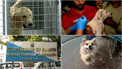 'വളർത്ത് മൃഗങ്ങൾക്ക് ലൈസൻസ് നൽകുന്നതിന് ഓൺലൈൻ സംവിധാനം പരിഗണനയില്' കൊച്ചി കോർപ്പറേഷൻ