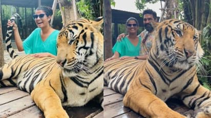 'പുലിവാല് പിടിച്ച്' അമൃതയും ഗോപി സുന്ദറും; അതിവേഗം വൈറലായി പട്ടായ ഡയറീസ്