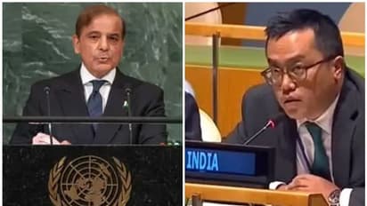 ತನ್ನ ಪಾಪಗಳನ್ನು ಮುಚ್ಚಿಕೊಂಡು ಹೇಳಿಕೆ ನೀಡೋದನ್ನ ಪಾಕ್ ನಿಲ್ಲಿಸಲಿ: ವಿಶ್ವಸಂಸ್ಥೆಯಲ್ಲಿ ಭಾರತದ ತೀಕ್ಷ್ಣ ಪ್ರತಿಕ್ರಿಯೆ