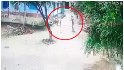 திண்டுக்கல்லில் ஓய்வு பெற்ற ராணுவ வீரர் துப்பாக்கிச்சூடு; 2 பேர் மருத்துவமனையில் அனுமதி