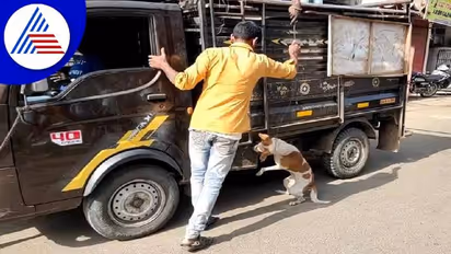 ಬೀದಿ ನಾಯಿಗಳನ್ನು ವಾಹನಕ್ಕೆ ಕಟ್ಟಿ ಎಳೆದೊಯ್ದ ಹಳಿಯಾಳ ಪುರಸಭೆ..!
