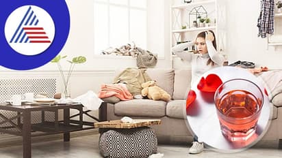 Astrology Tips : ಮನೆಯಲ್ಲಿ ನಕಾರಾತ್ಮಕ ಶಕ್ತಿ ಇದ್ರೆ ಕಾಣಿಸುತ್ತೆ ಈ ಚಿಹ್ನೆ