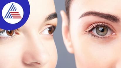 Samudrik Shastra: ಹುಬ್ಬುಗಳ ಆಕಾರದಿಂದ ಗುಣ ಅರಿಯಬಹುದು, ಹೇಗೆ ಗೊತ್ತಾ?