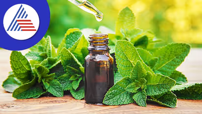 తలనొప్పి నుంచి శ్వాసకోశ సమస్యల వరకు.. పుదీనా నూనెతో ఎన్ని సమస్యలు తగ్గిపోతాయో..!