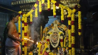 திருவேங்கடநாதபுரம் கோவில் புரட்டாசி பிரம்மோற்சவ கருட சேவை.. ஏராளமான பக்தர்கள் பங்கேற்பு