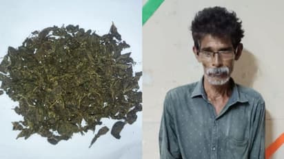 'ഒരേ ടീം, ഒരേ പ്രതി', ഈ 'പ്രാഞ്ചി'ക്ക് കഞ്ചാവ് വില്‍ക്കാതെ ഉറക്കം വരില്ല, പിടികൂടി റെക്കോര്‍ഡിട്ട് എക്‌സൈസും