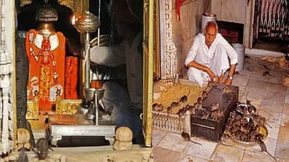 दुनिया का इकलौता मंदिर, जहां माता के संतान के रूप में होती है चूहों की पूजा