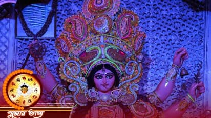 দেবীপক্ষের যে কোনও সময় বাড়িতে এই গাছগুলি লাগান মা দুর্গা আজীবন ঘরে থাকবেন, দুঃখ নাশ হবে