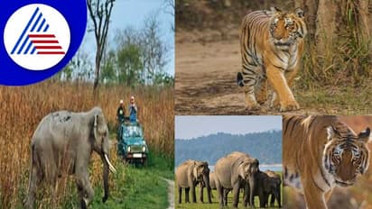 ಮಕ್ಕಳಿಗೆ ದಸರಾ ರಜೆ ಬಂತಾ? Travel ಪ್ಲ್ಯಾನ್ ಇದ್ದರೆ ಇಲ್ಲಿವೆ ಟಿಪ್ಸ್