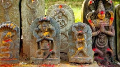 யாருக்கு சர்ப்ப தோஷம் தாக்கும்.. அதற்கான பரிகாரங்கள் என்ன?