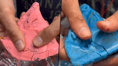 Viral video: Delhi food outlet serves strawberry and blueberry samosa, internet divided