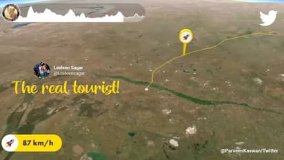 2658 മീറ്റര്‍ ഉയരം, മണിക്കൂറില്‍ 87 കി.മീ വേഗത;  ആ ദേശാടനപ്പക്ഷികള്‍ പറന്നതെങ്ങോട്ട്? 