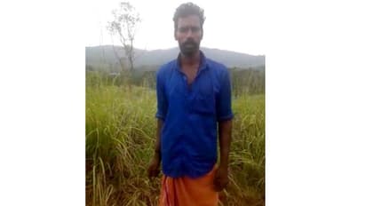 സജിയെ കണ്ട് പാഞ്ഞടുത്ത് കൊമ്പന്, യൂക്കാലി മരത്തില് അള്ളിപ്പിടിച്ച് കയറി; മരണം മുന്നിലെത്തി, ഒടുവില് രക്ഷ