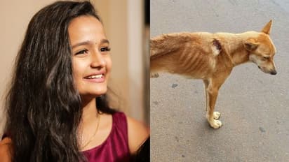 'മൃഗസ്നേഹികളുടെ ഏതെങ്കിലും സംഘടനയ്ക്ക് ഈ നായയെ രക്ഷിക്കാൻ കഴിയുമോ': അഭ്യർത്ഥനയുമായി മീനാക്ഷി