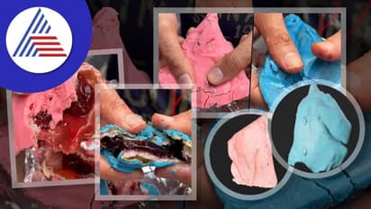 ದೆಹಲಿಯ ಆಹಾರ ಮಳಿಗೆಯಲ್ಲಿ ಸಿಗ್ತಿದೆ ಸ್ಟ್ರಾಬೆರಿ ಮತ್ತು ಬ್ಲೂಬೆರಿ ಸಮೋಸಾ