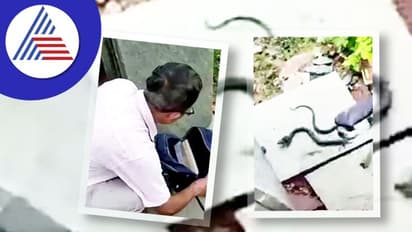 ಬಾಲಕಿಯ ಸ್ಕೂಲ್ ಬ್ಯಾಗ್‌ನಲ್ಲಿತ್ತು ಬುಸ್ ಬುಸ್ : ಬ್ಯಾಗ್‌ನಿಂದ ಹಾವು ಹೊರ ಹಾಕಿದ ಶಿಕ್ಷಕ