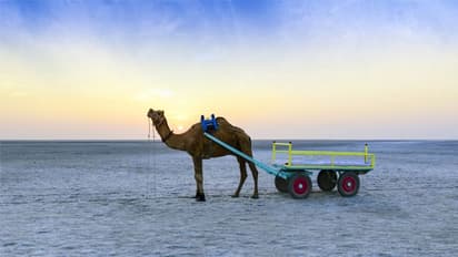 পালিত হচ্ছে বিশ্ব পর্যটন দিবস, জেনে নিন কেন পালিত হয় দিনটি, রইল এই বিশেষ দিনের মাহাত্ম্য