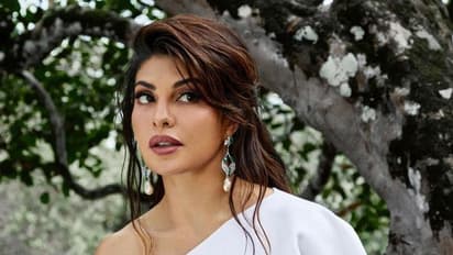 जैकलीन फर्नांडीज को मिली जमानत, ED ने किया विरोध तो कोर्ट ने पूछा सबूत है तो अरेस्ट क्यों नहीं किया...